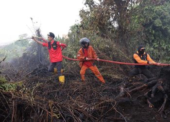 Kabut Asap Terjadi, Operasi Kebakaran Hutan Kalimantan Ditingkatkan