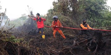 Kabut Asap Terjadi, Operasi Kebakaran Hutan Kalimantan Ditingkatkan