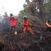 Kabut Asap Terjadi, Operasi Kebakaran Hutan Kalimantan Ditingkatkan