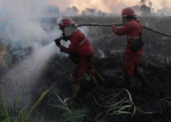 Kebakaran Hutan Berulang Dan Akar Masalah Sosial Ekonomi Yang Diperhatikan