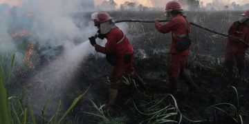 Kebakaran Hutan Berulang Dan Akar Masalah Sosial Ekonomi Yang Diperhatikan